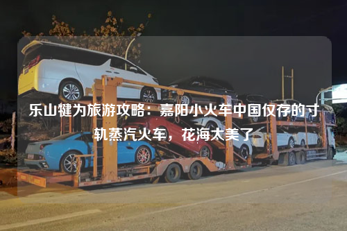 乐山犍为旅游攻略：嘉阳小火车中国仅存的寸轨蒸汽火车，花海太美了